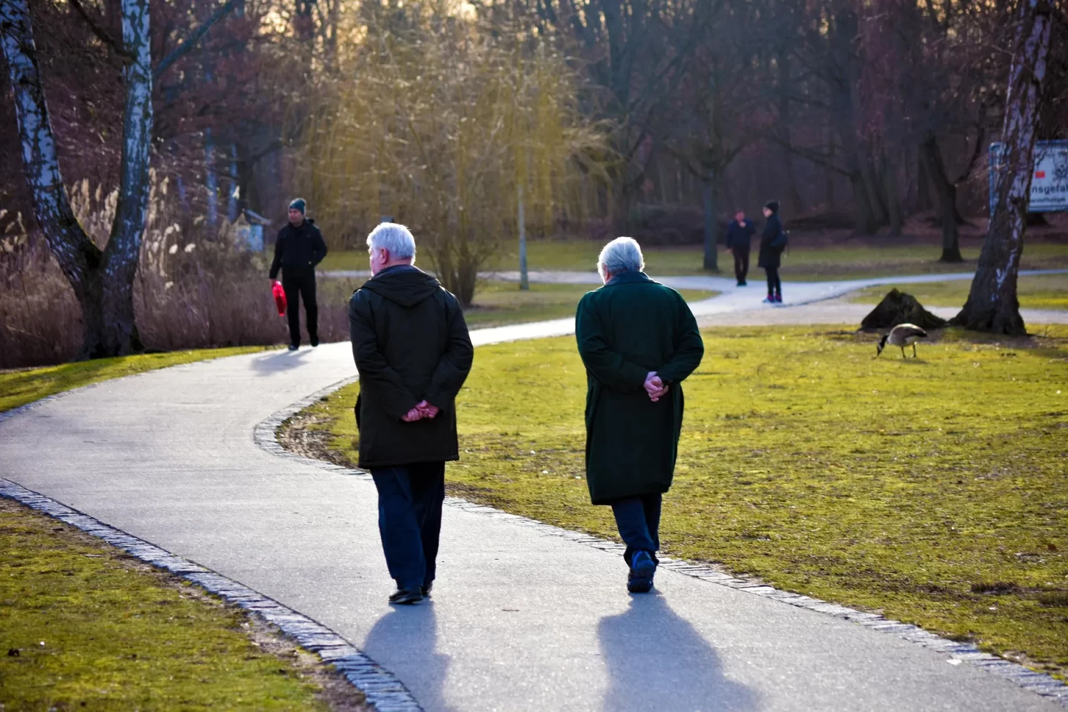 Twee ouderen wandelen rustig in het park, passend bij een eenvoudig schema om actief en fit te blijven.